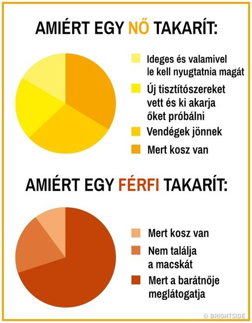 15 kördiagram, mely remekül summázza a férfi és női nem közti ordító különbségeket