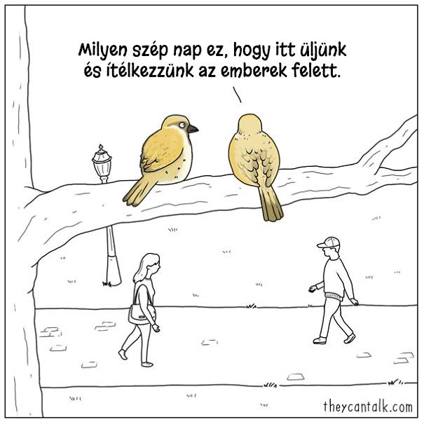 14 képregény, ami megmutatja, hogy milyen lenne a világ, ha a madarak beszélni tudnának
