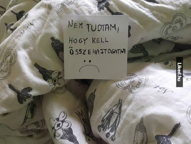 Amikor megkéred a férjed, hogy szedje be a szárítóról a ruhákat, de a takaróknál elakad.