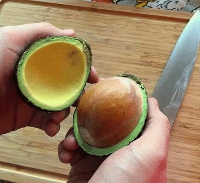 „Direkt a legnagyobb avokádót választottam, hogy kiadós adag guacamole szószt készítsek."