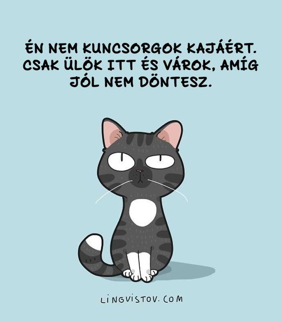 Egy művészduó képregényeket készít a macskagazdik legtipikusabb pillanatairól