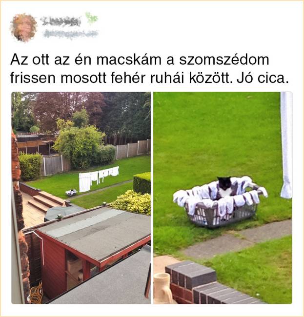 12 ember, akinek bonyolultabb a kapcsolata a szomszédjával, mint az exével