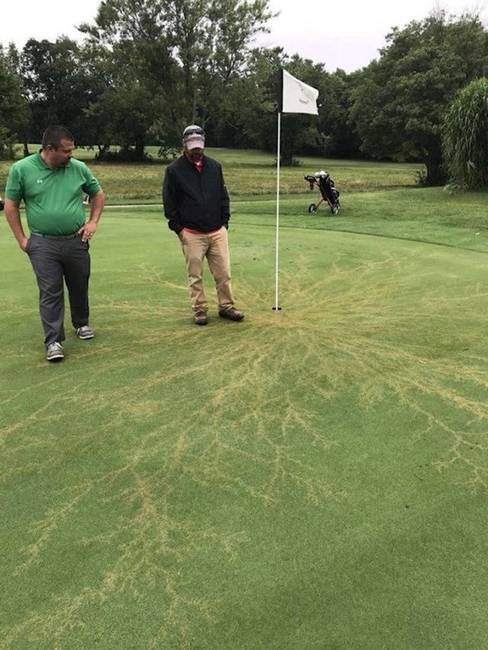 A villám golfozott, és lyukba talált.