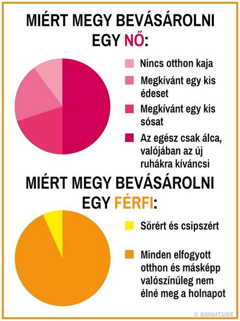 15 kördiagram, mely remekül summázza a férfi és női nem közti ordító különbségeket