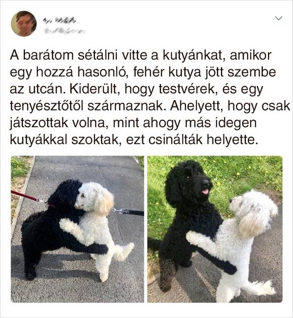 „Az egyik ismerősöm osztotta meg."