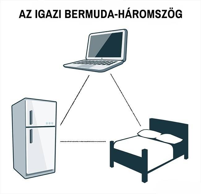 17 félelmetesen pontos diagram, amibe egyszerűen nem lehet belekötni