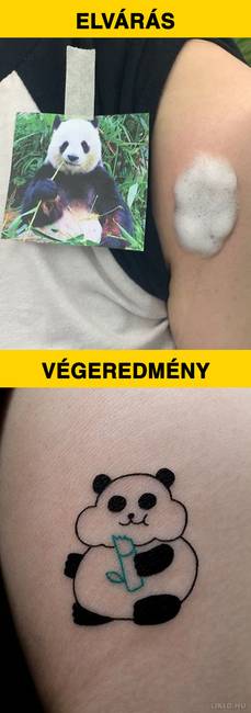 Panda tetoválás.