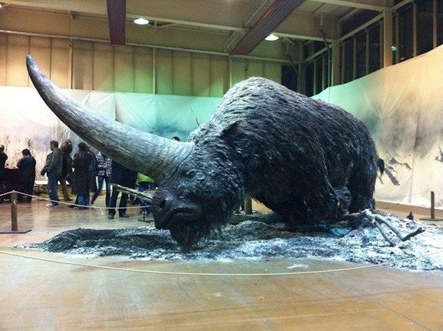Az Elasmotherium egy hatalmas, szőrös egyszarvú volt, ami 29 ezer évvel ezelőtt élt a Földön.