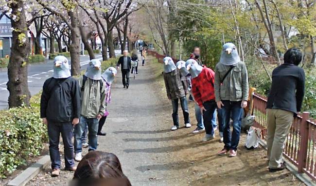 Japán csendélet.