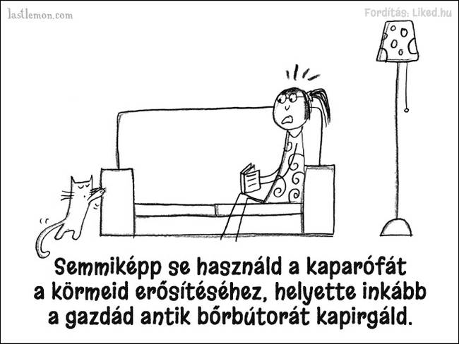 20 humoros illusztráció, ami megmutatja, hogyan kell jó macskának lenni