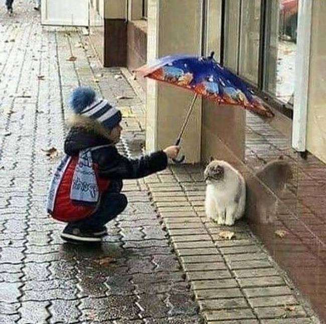 A kedvesség nem ismer határokat.