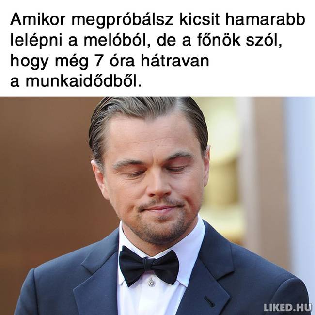 20 vicces mém a főnökökről, amit jobb, ha nem a munkahelyeden nézel meg