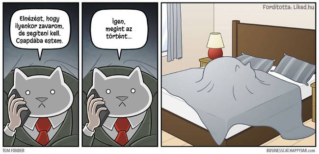 20 humoros illusztráció arról, hogy milyen lenne az élet, ha egy macska lenne a főnökünk
