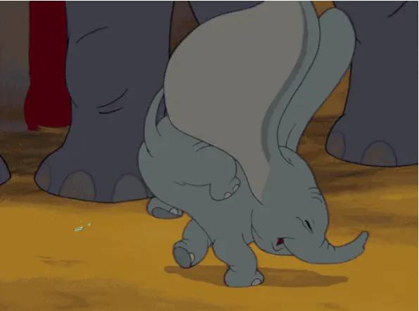 elefant
