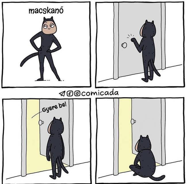 Az igazi macskanő.