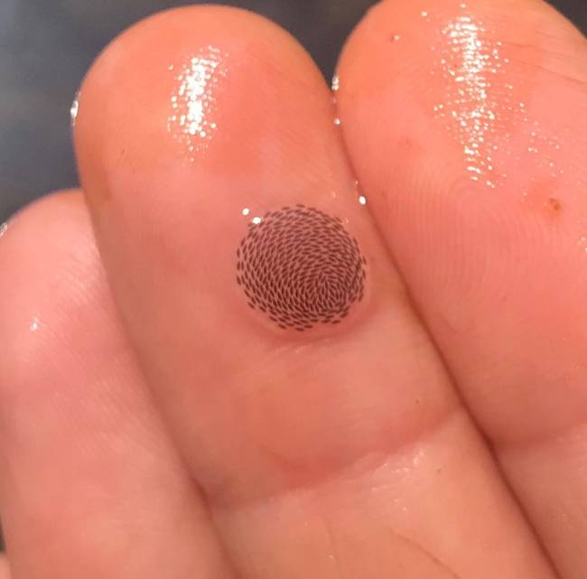 Egy tóban találták, és kiderült, hogy nem valami mikrochip, hanem szúnyoglárvák.