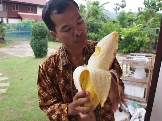 Thaiföldön körülbelül 22 fajta különböző banánfajta terem. Némelyik ezek közül egészen hatalmas.