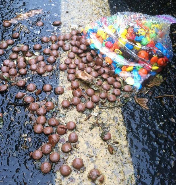 Az eső egyszerűen lemosta a festéket a zacskóból kiszóródott M&amp;M's-ekről.