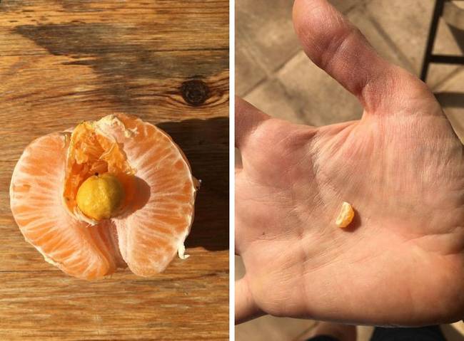 „A mandarinom belsejében egy mini-mandarin nőtt."