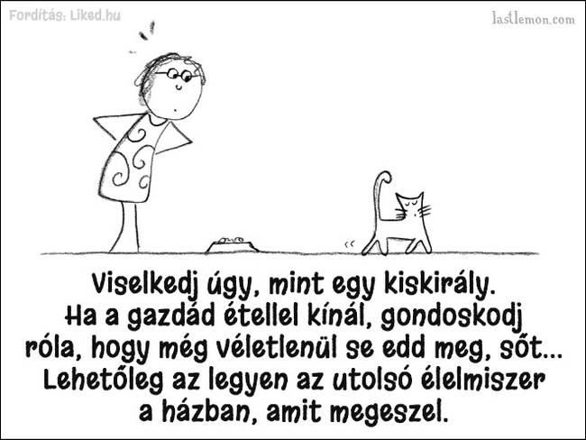20 humoros illusztráció, ami megmutatja, hogyan kell jó macskának lenni