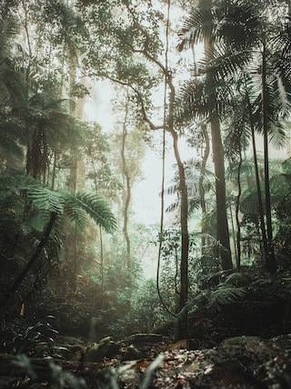 photo 1592288801240 7b18bb06e94f
