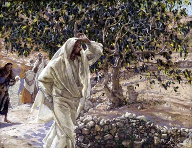 „Az megátkozott fügefa”, T. James.