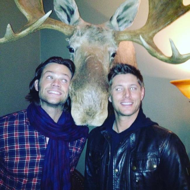 Jensen Ackles boldog születésnapot kívánt ennek a jávorszarvasnak, és ha már ott volt mellette az Odaát című sorozatban testvérét játszó Jared Padalecki, akkor neki is.