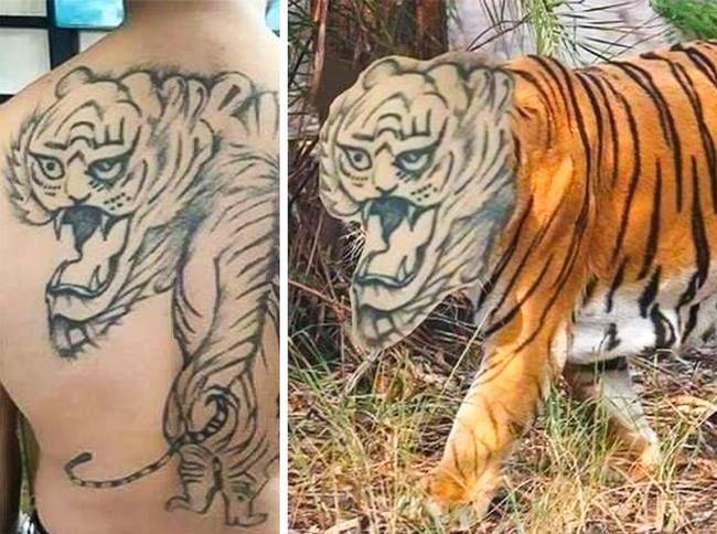 Szép világot is élnénk, ha minden tigris olyan lenne, mint ez a tetoválás...😂😭😂