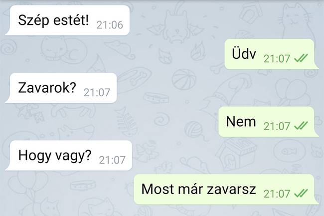 20 üzenet, ami bizonyítja, hogy a társkeresés néha kellemetlenül bonyolult