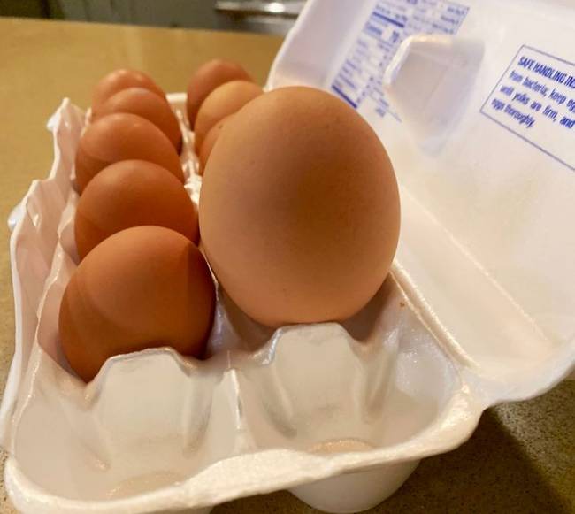 „Boltban vásárolt tojások, vs. egy tojás, amit ma reggel rakott az egyik tyúkom."