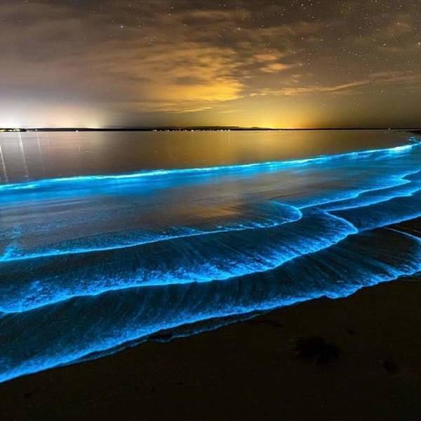 Biolumineszcens algák a kaliforniai Imperial Beach-en.