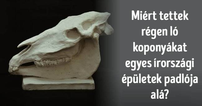 15 hihetetlen rejtvény, aminek a megoldása figyelemre méltó tudást és műveltséget igényel