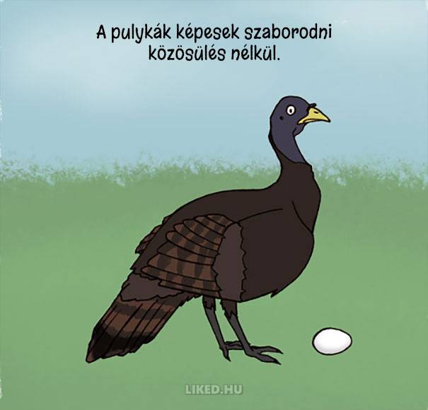 20 őrült tény az állatokról, amit nem tanítottak meg nekünk az iskolában