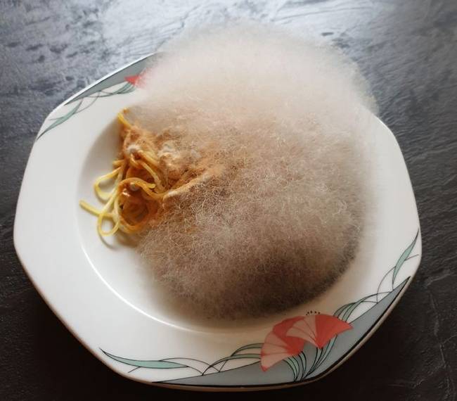 Egy gombás spagetti, amit egy hétre a mikróban felejtettek.