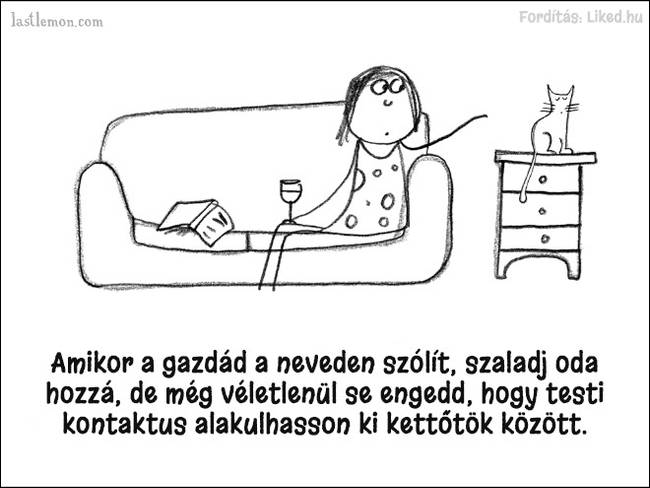 20 humoros illusztráció, ami megmutatja, hogyan kell jó macskának lenni