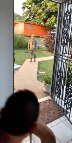 Tanulságos videó lehet ez azok számára, akik úgy gondolják, hogy a háziállatok nem képesek szeretni.