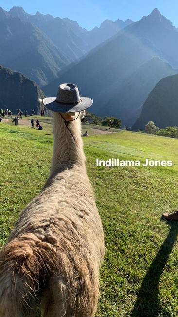Eközben a Machu Pichu-n.
