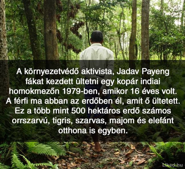 20+ örömteli tény, ami után teljesen más szemmel nézel majd a világra