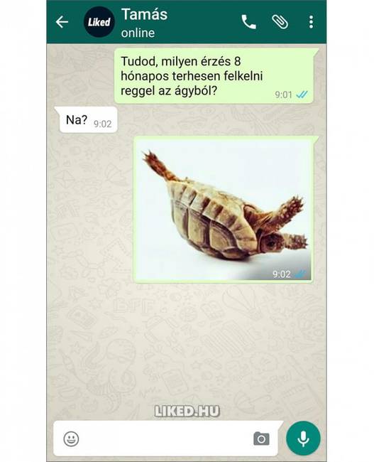 Akinek volt már része benne, az tudja… :)
