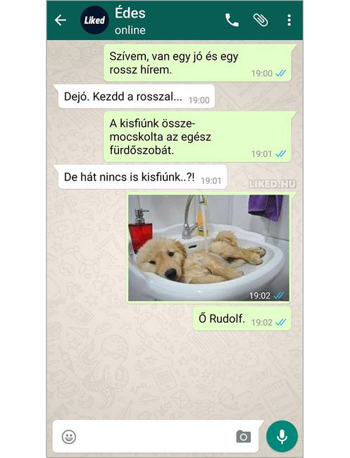 18 üzenet, ami bizonyítja, hogy egy házasságban sosem lehet unatkozni