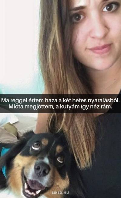 16 kutyás Snapchat-üzenet, ami kétségkívül jobb hellyé tette az internetet