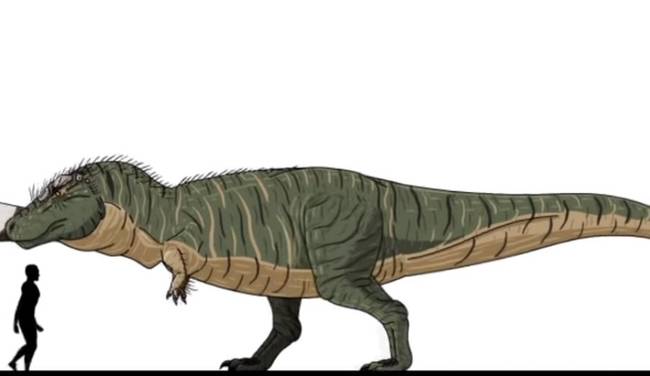 A gyilkos Tyrannosaurus-okat valószínűleg senkinek sem kell bemutatnunk. Nagy bajban lennénk, ha ezek az állatok még ma is élnének.
