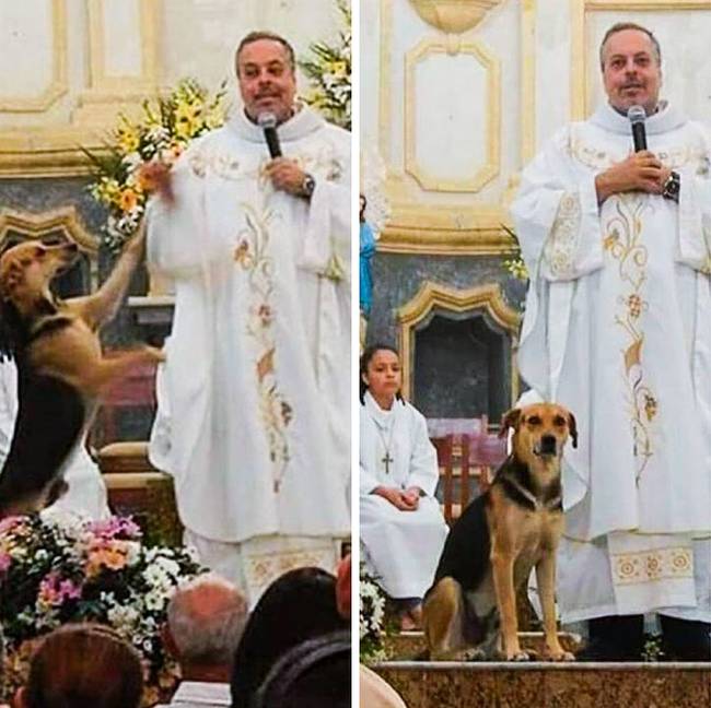 Ez a pap állatokat hoz a misére a menhelyről, hogy gazdát találjon nekik.