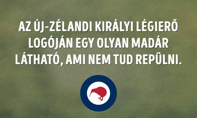 Az Új Zélandi Királyi Légierő logója fail