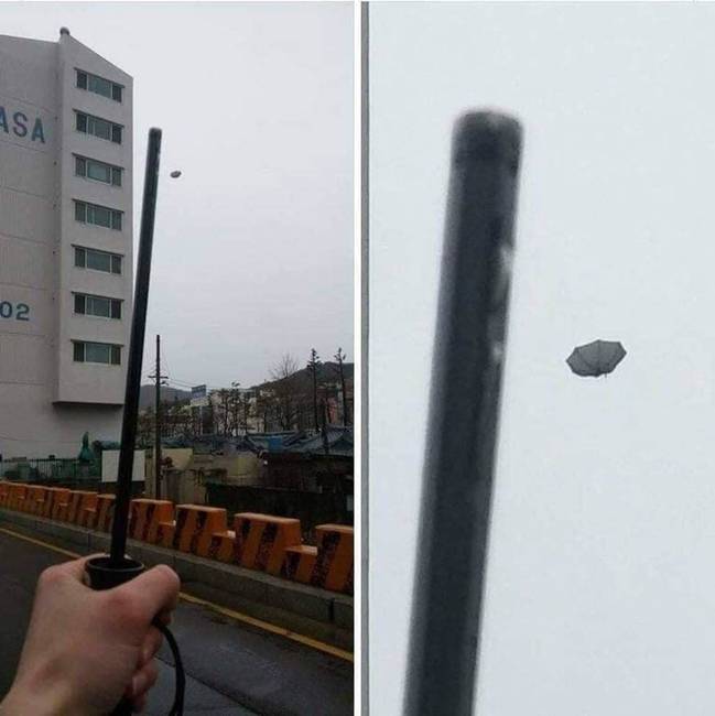 Windgardium Leviosa.