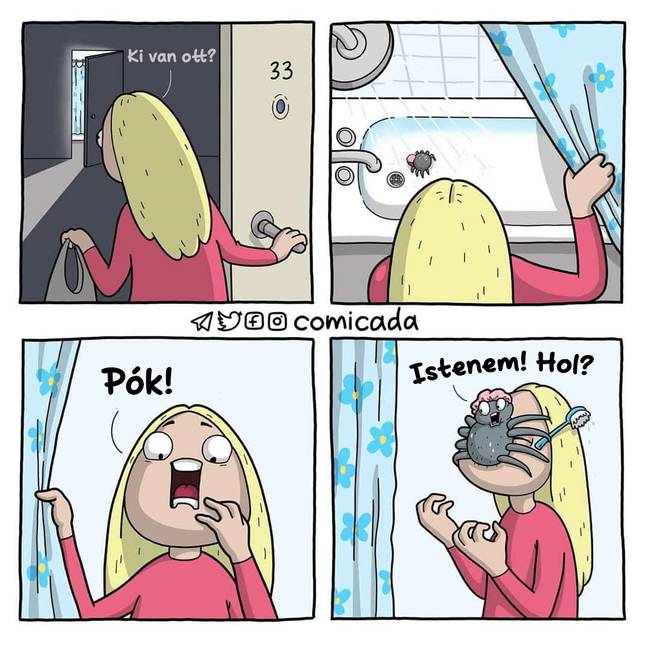 A pók!
