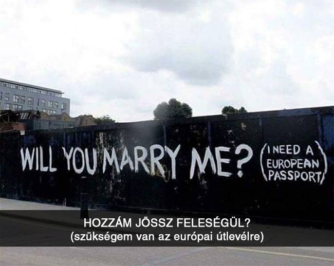 Legalább őszinte.