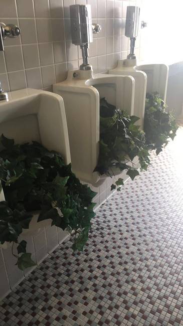 Valaki úgy gondolta, hogy egy kicsit stílust ad az étterem piszoárjainak. Rossz ötlet volt.