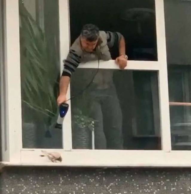 Ez a férfi hajszárítóval próbálja felmelegíteni az esőben elázott galambot.