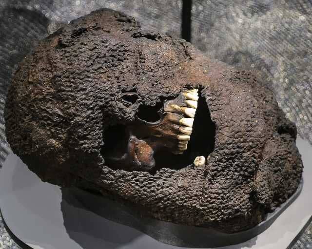 Egy harcos koponyája 1361-ből. A koponya még mindig a védelemként használt fémhálón belül van.